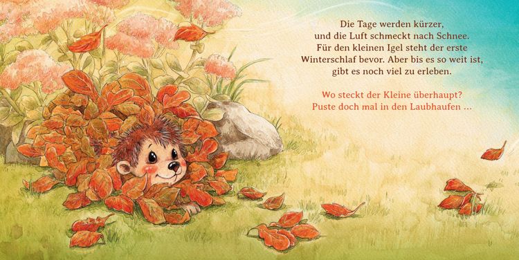 Produktbild: Schlaf sch&ouml;n, kleiner Igel (Mini-Ausgabe)