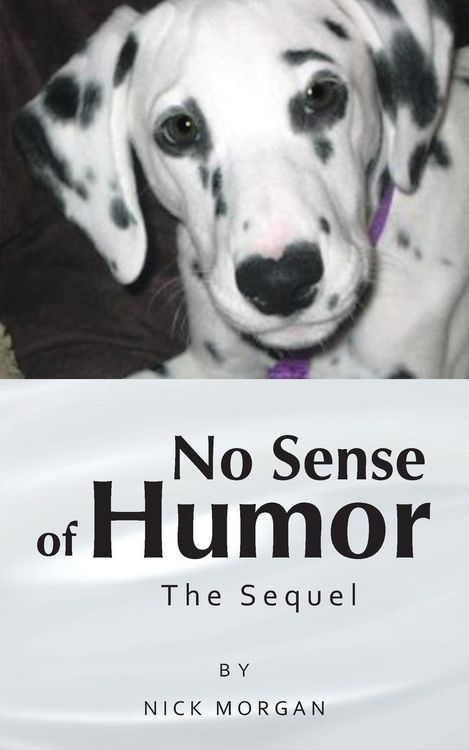 Produktbild: No Sense of Humor