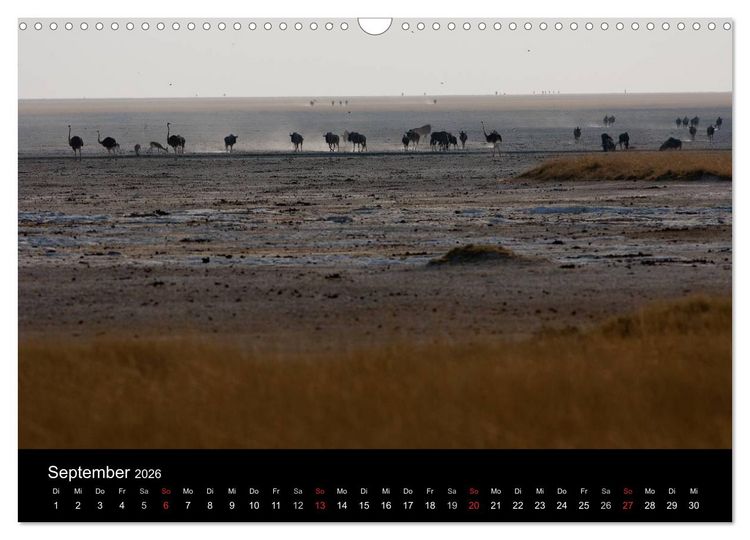 Produktbild: Wildlife Namibia (Wandkalender 2026 DIN A3 quer), CALVENDO Monatskalender