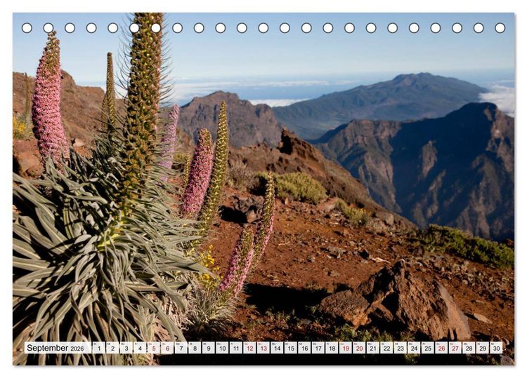 Produktbild: Landschaften der Kanarischen Inseln. (Tischkalender 2026 DIN A5 quer), CALVENDO Monatskalender
