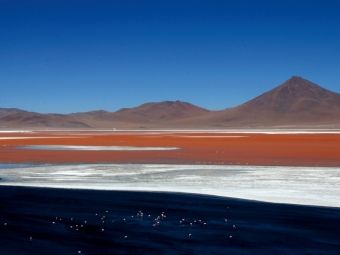 Produktbild: CALVENDO Puzzle Laguna Colorado, Sur L&iacute;pez, Bolivien | 1000 Teile Lege-Gr&ouml;&szlig;e 64 &times; 48 cm Foto-Puzzle f&uuml;r gl&uuml;ckliche Stunden