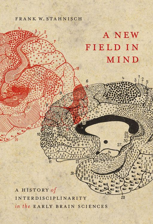 Produktbild: New Field in Mind