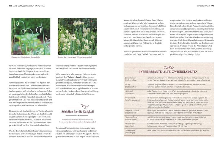 Produktbild: Alte Gem&uuml;sepflanzen wiederentdeckt