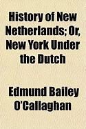Produktbild: History of New Netherlands; Or, New York Under the Dutch