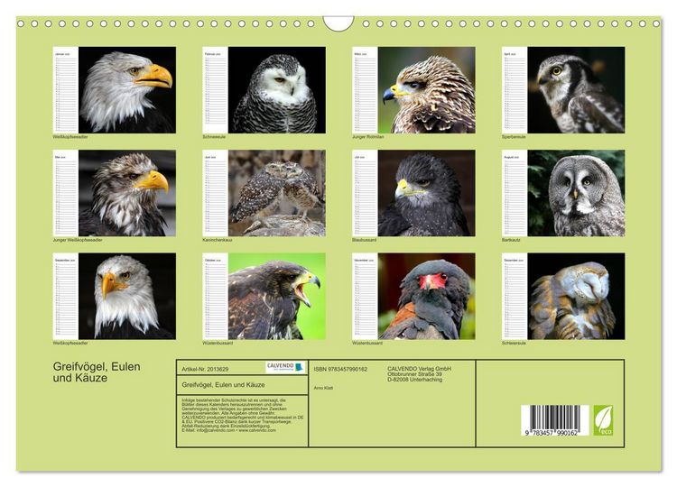 Produktbild: Greifv&ouml;gel, Eulen und K&auml;uze (Wandkalender 2026 DIN A3 quer), CALVENDO Monatskalender