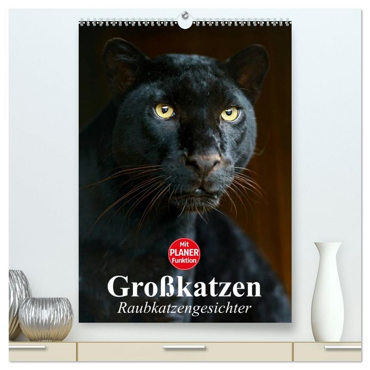 Produktbild: Gro&szlig;katzen. Raubkatzengesichter (hochwertiger Premium Wandkalender 2026 DIN A2 hoch), Kunstdruck in Hochglanz