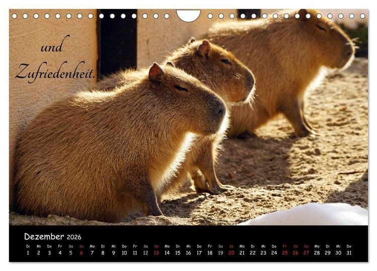 Produktbild: Gut gelaunt durch's Rentenjahr (Wandkalender 2026 DIN A4 quer), CALVENDO Monatskalender