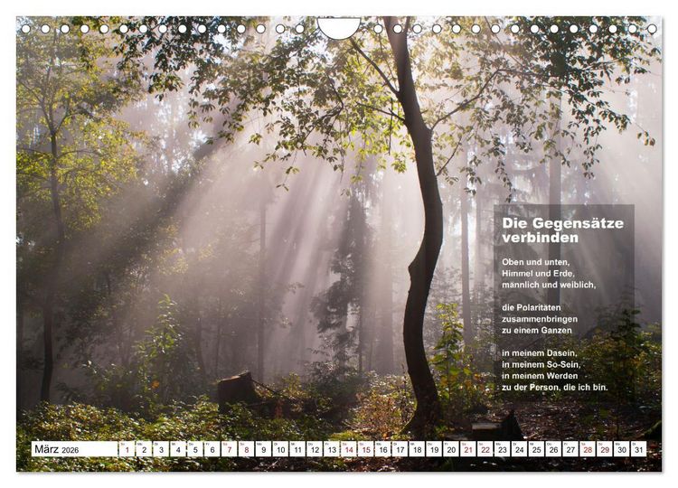 Produktbild: Stehen wie ein Baum (Wandkalender 2026 DIN A4 quer), CALVENDO Monatskalender