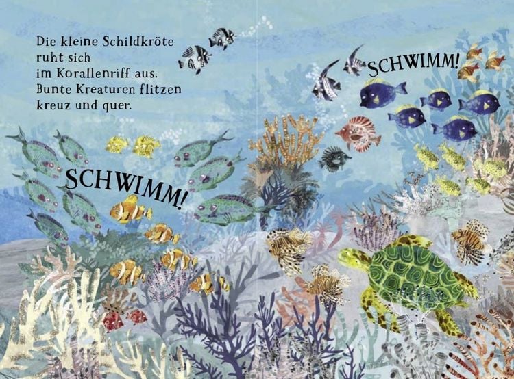 Produktbild: Kleine Schildkr&ouml;te und das blaue Meer