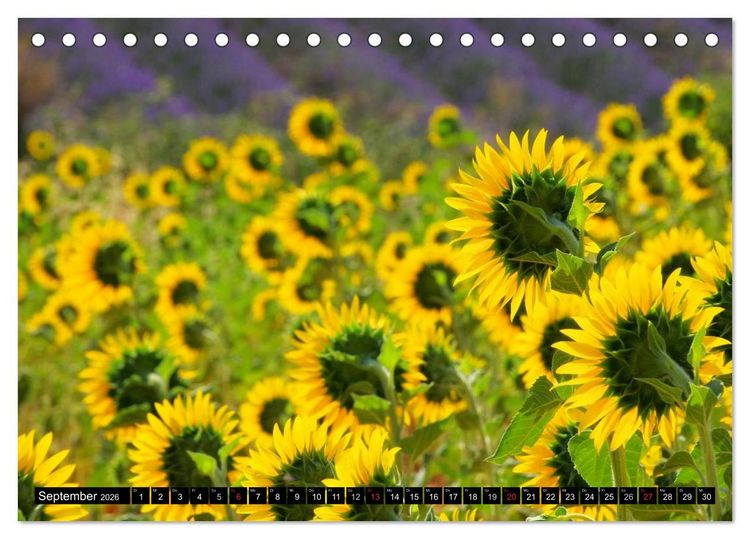 Produktbild: Provence (Tischkalender 2026 DIN A5 quer), CALVENDO Monatskalender