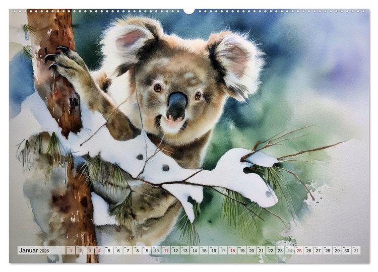 Produktbild: Koalas, liebenswerte kleine Schlafm&uuml;tzen (hochwertiger Premium Wandkalender 2026 DIN A2 quer), Kunstdruck in Hochglanz