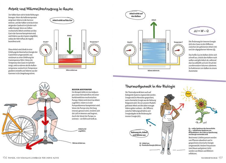 Produktbild: Physik