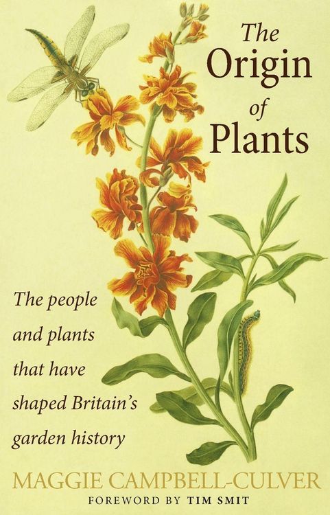 Produktbild: The Origin Of Plants