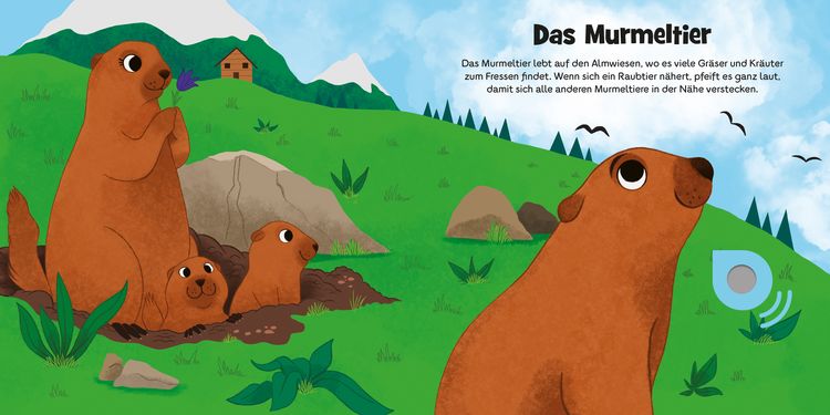 Produktbild: Meine Schweizer Tiere