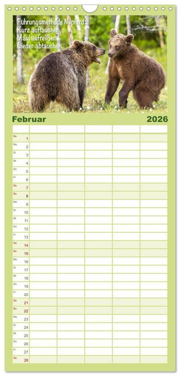 Produktbild: Familienplaner 2026 - Spa&szlig; mit B&auml;ren: Edition lustige Tiere mit 5 Spalten (Wandkalender, 21 x 45 cm) CALVENDO