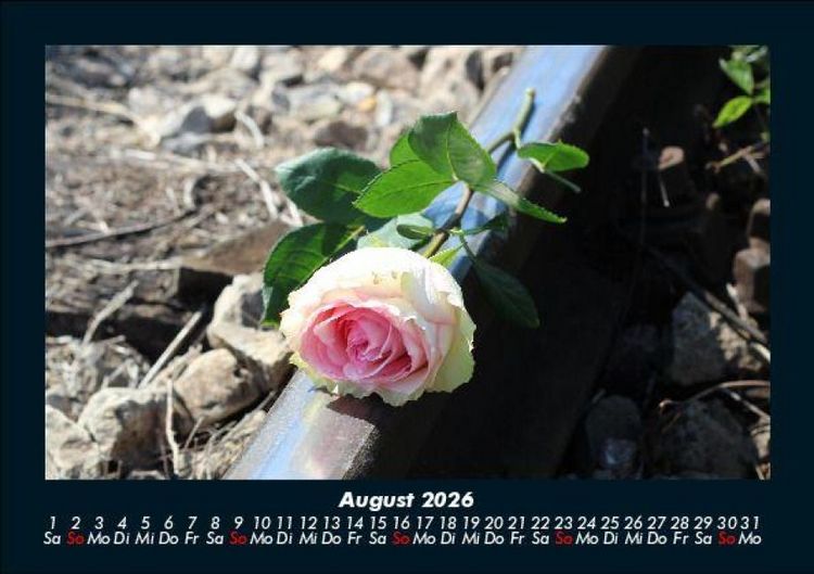 Produktbild: Rosentraum 2026 Fotokalender DIN A5