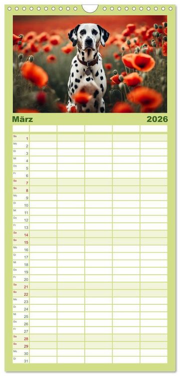 Produktbild: Familienplaner 2026 - Dalmatiner - freundliche Temperamentsbolzen mit 5 Spalten (Wandkalender, 21 x 45 cm) CALVENDO