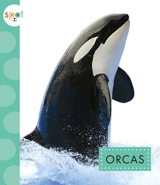 Produktbild: Orcas
