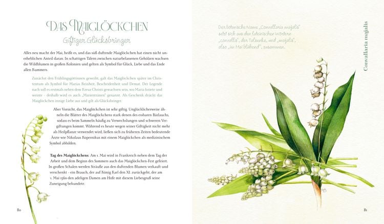 Produktbild: Inspirationen: Vom Zauber der Blumen - M. Bastin