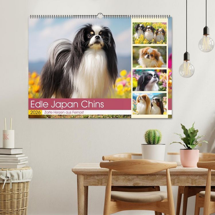 Produktbild: Edle Japan Chins. Zarte Herzen aus Fernost (Wandkalender 2026 DIN A2 quer), CALVENDO Monatskalender