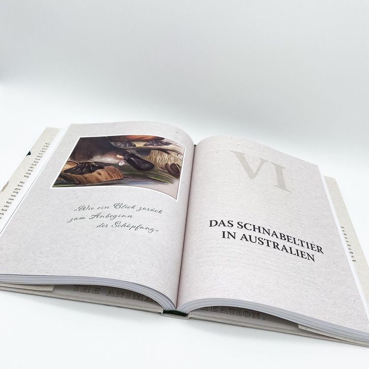 Produktbild: Expeditionen zu den Ersten ihrer Art