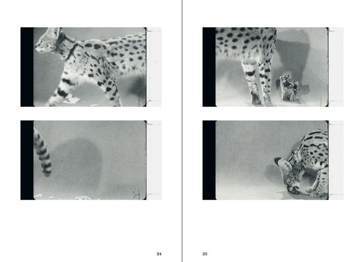 Produktbild: A Grin Without a Cat &ndash; The Very Tale