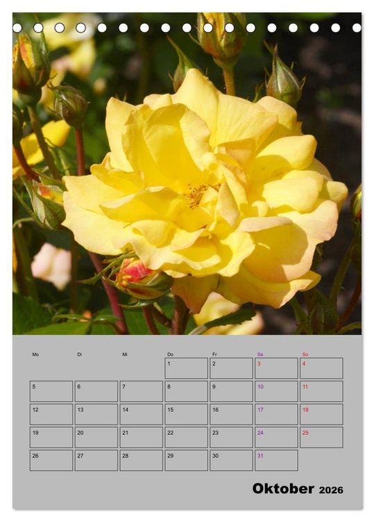 Produktbild: Rosen - Symbol der Liebe und Verehrung (Tischkalender 2026 DIN A5 hoch), CALVENDO Monatskalender