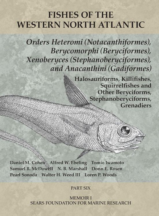 Produktbild: Orders Heteromi (Notacanthiformes), Berycomorphi (Beryciformes), Xenoberyces (Stephanoberyciformes), Anacanthini (Gadiformes)