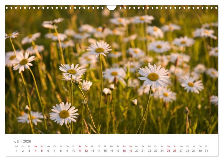 Produktbild: Nordisch gut - Schweden (Wandkalender 2026 DIN A3 quer), CALVENDO Monatskalender