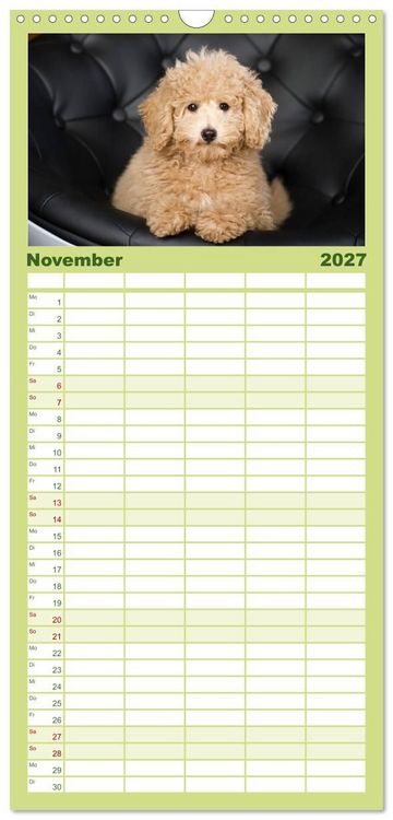 Produktbild: Familienplaner 2027 - Pudel mit 5 Spalten (Wandkalender, 21 x 45 cm) CALVENDO