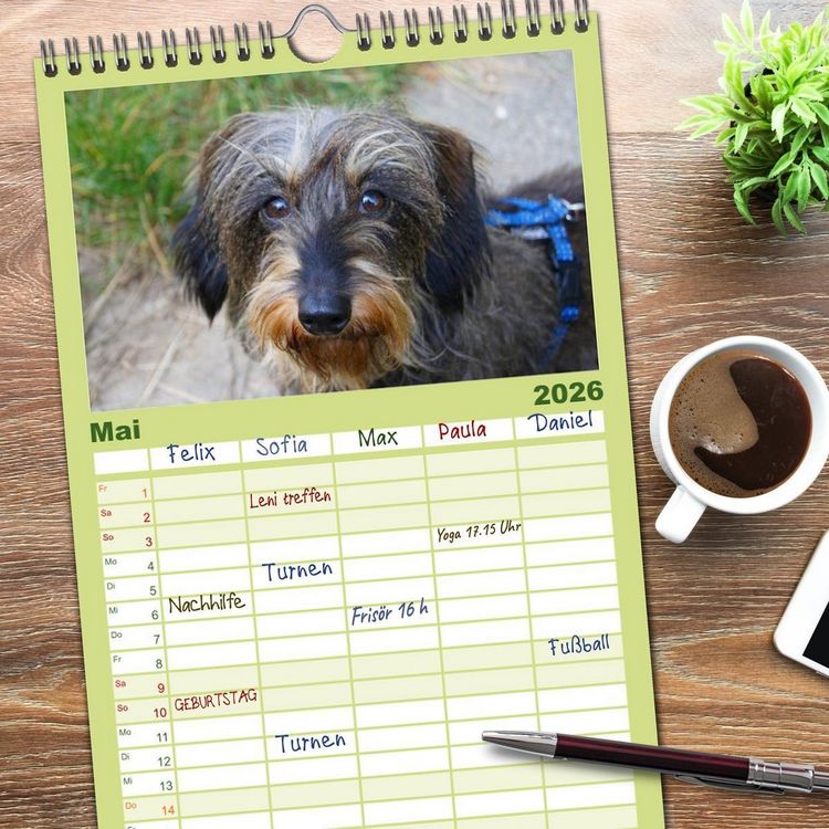 Produktbild: Familienplaner 2026 - Der Zwergrauhaardackel - Eigensinnig und Liebenswert mit 5 Spalten (Wandkalender, 21 x 45 cm) CALVENDO