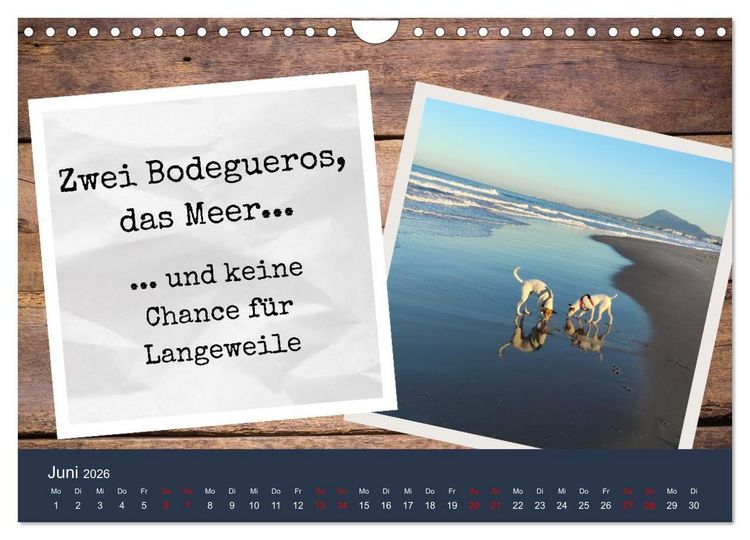 Produktbild: Ratonero Bodeguero Andaluz (Wandkalender 2026 DIN A4 quer), CALVENDO Monatskalender