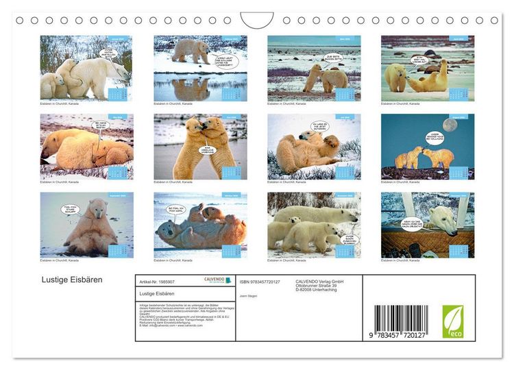 Produktbild: Lustige Eisb&auml;ren (Wandkalender 2026 DIN A4 quer), CALVENDO Monatskalender