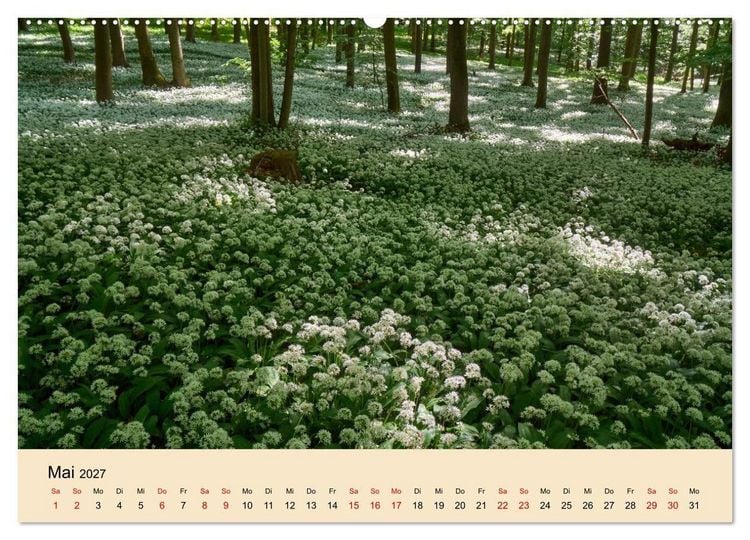 Produktbild: Franken - eine Region voller Naturwunder (Wandkalender 2027 DIN A2 quer), CALVENDO Monatskalender