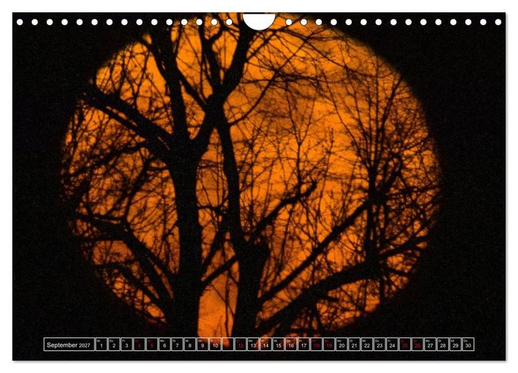 Produktbild: Faszination Mond - der etwas andere Mondkalender (Wandkalender 2027 DIN A4 quer), CALVENDO Monatskalender