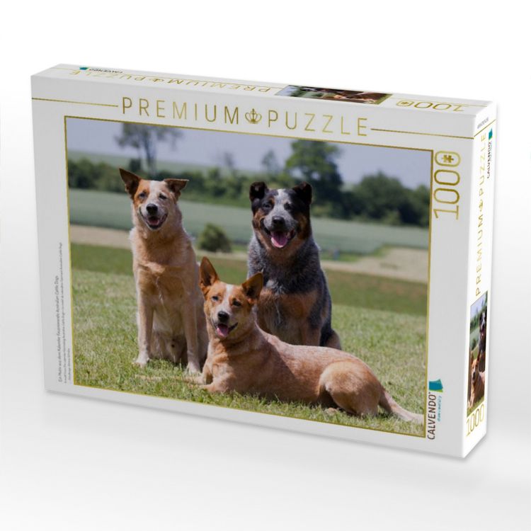 Produktbild: CALVENDO Puzzle Ein Motiv aus dem Kalender Faszinierende Australian Cattle Dogs | 1000 Teile Lege-Gr&ouml;&szlig;e 64x48cm Foto-Puzzle f&uuml;r gl&uuml;ckliche Stunden