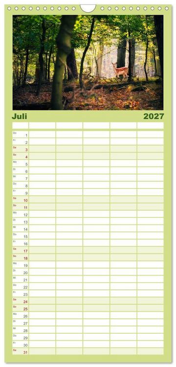Produktbild: Familienplaner 2027 - Die Tiere des Waldes mit 5 Spalten (Wandkalender, 21 x 45 cm) CALVENDO