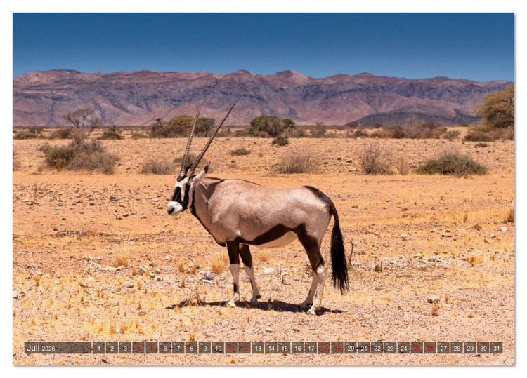 Produktbild: Namibia und Botswana - Entdeckungen in der Weite Afrikas (Tischkalender 2026 DIN A5 quer), CALVENDO Monatskalender