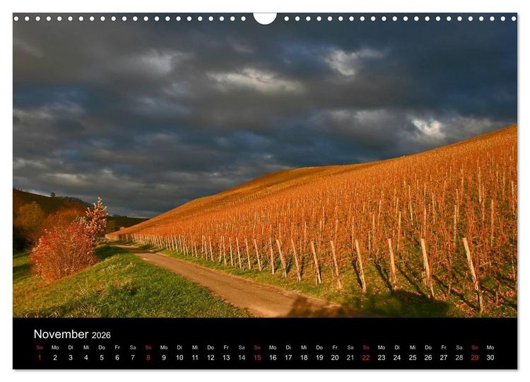 Produktbild: Die Ortenau (Wandkalender 2026 DIN A3 quer), CALVENDO Monatskalender