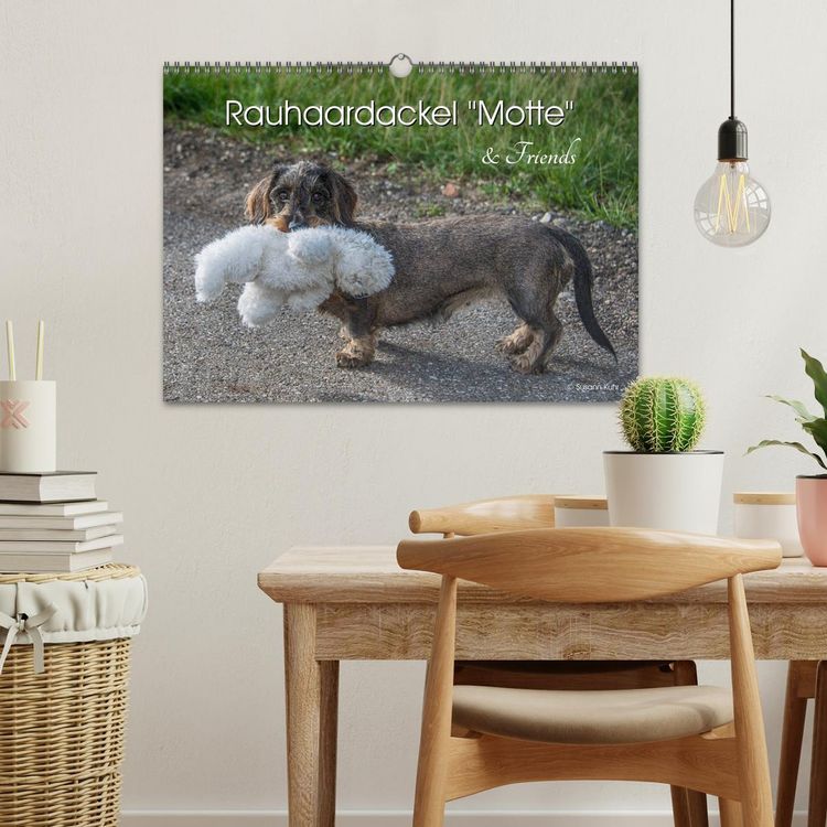 Produktbild: Rauhaardackel Motte & Friends (Wandkalender 2026 DIN A3 quer), CALVENDO Monatskalender