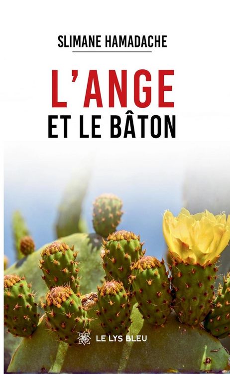 Produktbild: L ange et le baton