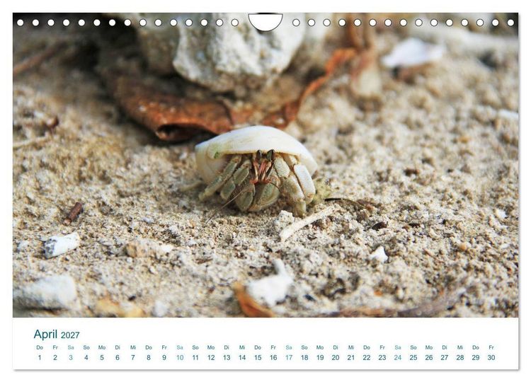 Produktbild: S&uuml;dsee-Insel Huahine - Paradies am Ende der Welt (Wandkalender 2027 DIN A4 quer), CALVENDO Monatskalender