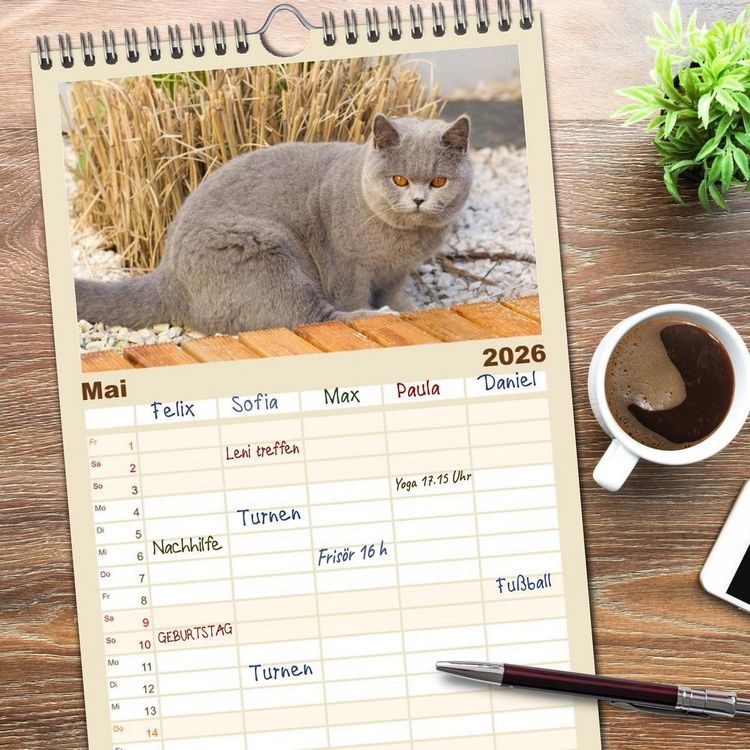 Produktbild: Familienplaner 2026 - B&auml;rige Schmusetiger - Britisch Kurzhaar Katzen mit 5 Spalten (Wandkalender, 21 x 45 cm) CALVENDO