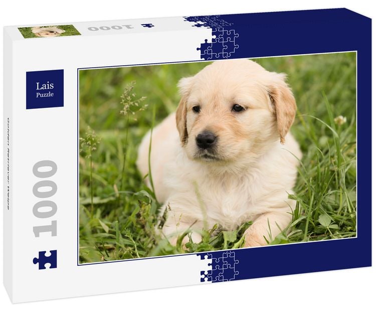 Produktbild: Lais Puzzle Golden Retriever Welpe 1000 Teile