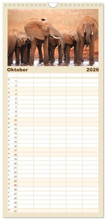 Produktbild: Familienplaner 2026 - Kenias wilde Elefanten mit 5 Spalten (Wandkalender, 21 x 45 cm) CALVENDO