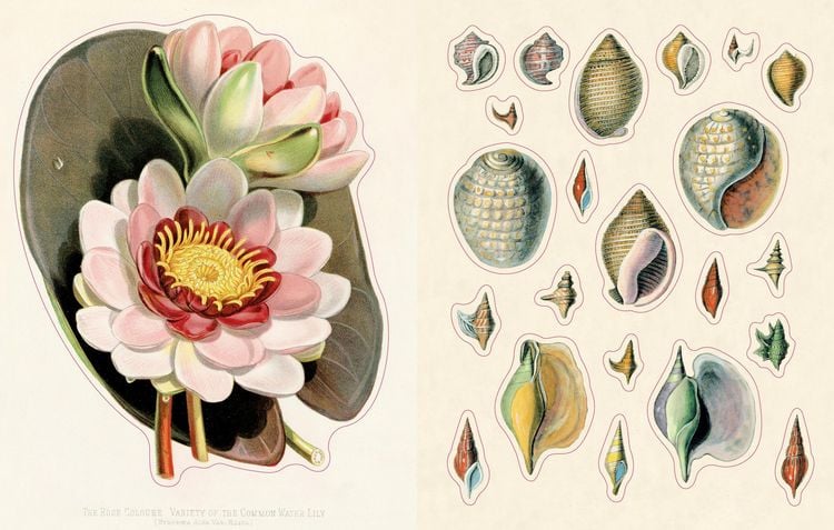 Produktbild: John Derian Sticker Book II
