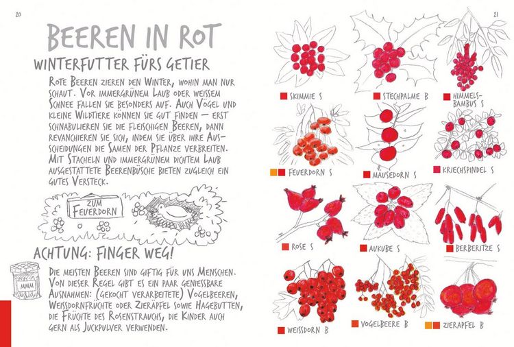 Produktbild: Ich sehe was, was ich nicht kenn&acute;