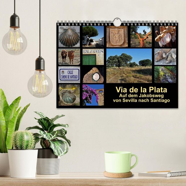 Produktbild: Via de la Plata - auf dem Jakobsweg von Sevilla nach Santiago (Wandkalender 2026 DIN A4 quer), CALVENDO Monatskalender