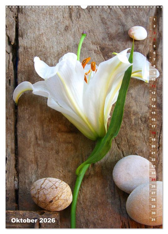 Produktbild: Lilien-Eleganz (hochwertiger Premium Wandkalender 2026 DIN A2 hoch), Kunstdruck in Hochglanz