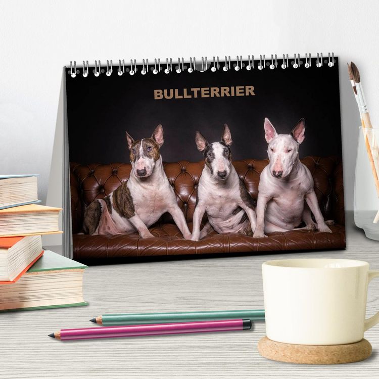 Produktbild: Bullterrier (Tischkalender 2026 DIN A5 quer), CALVENDO Monatskalender